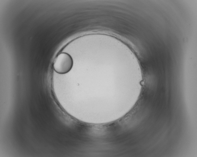 X0000111811514200907231005