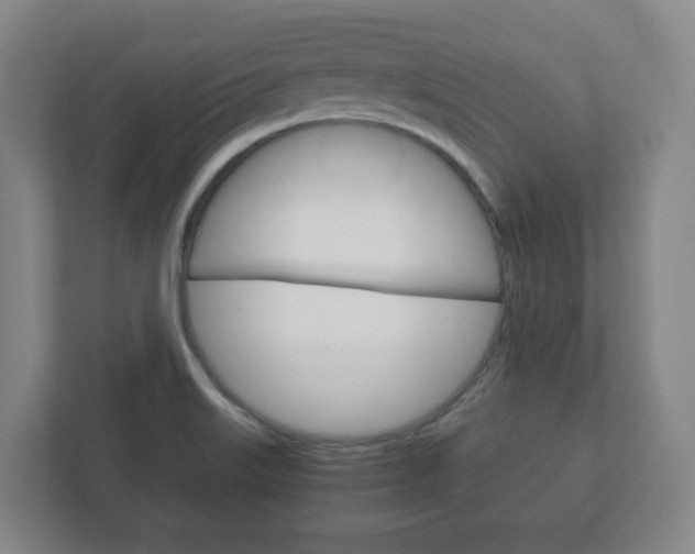 X0000111811515200907231005