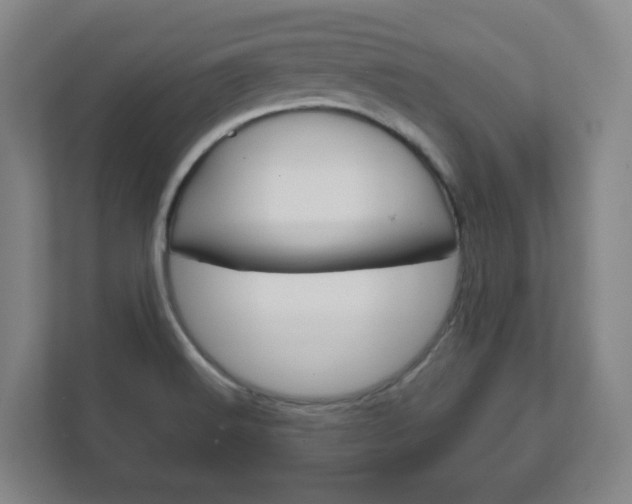 X0000111811516200907231005