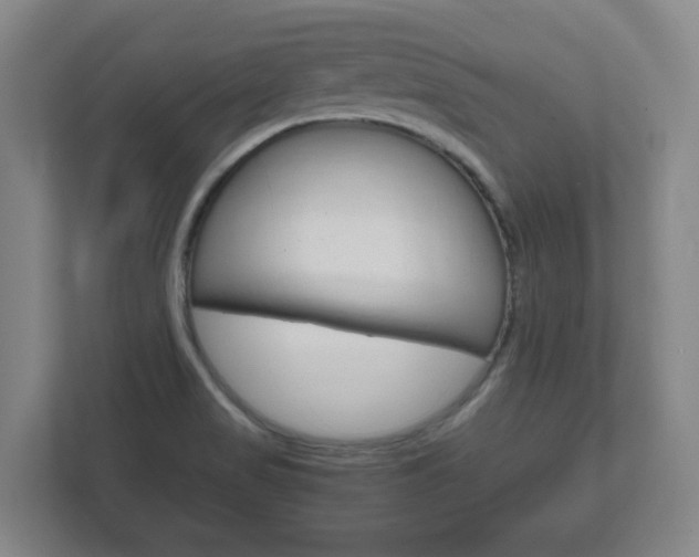 X0000111811517200907231005