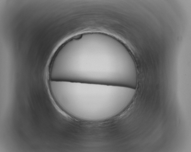 X0000111811519200907231005