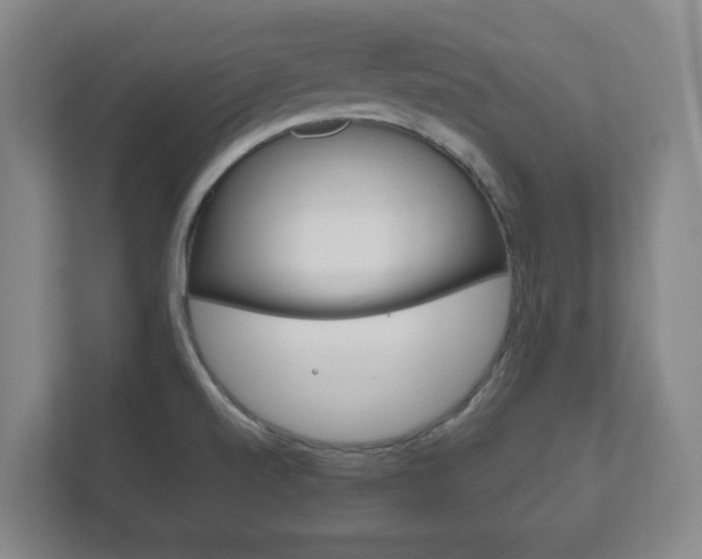 X0000111811520200907231005