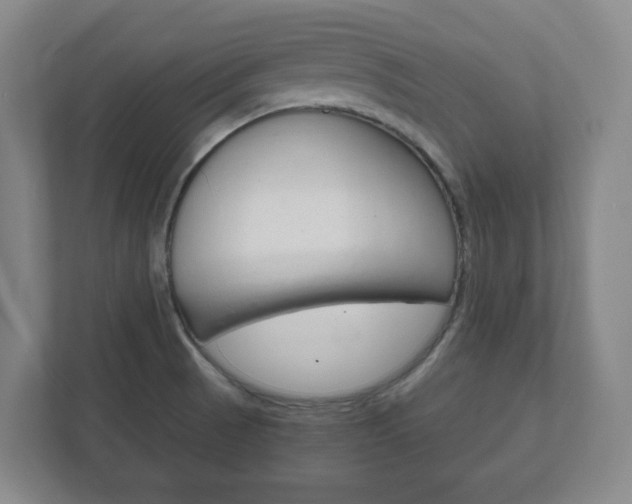 X0000111811521200907231005