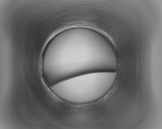 X0000111811522200907231005