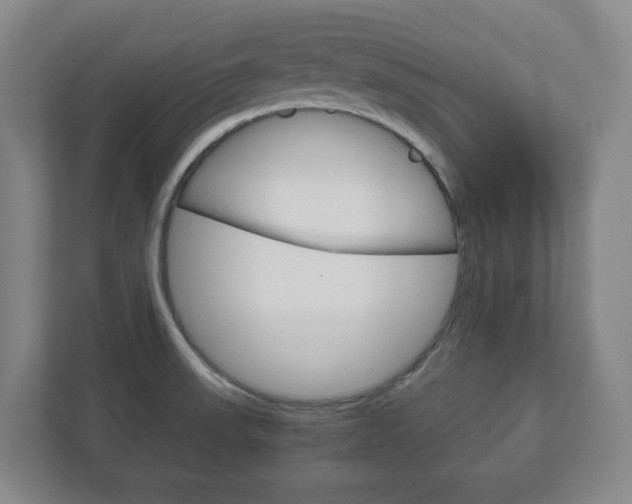X0000111811523200907231005