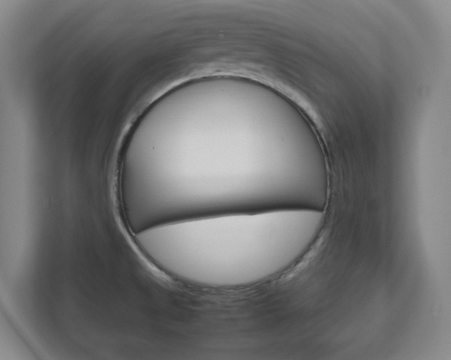 X0000111811525200907231005