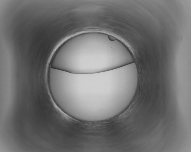 X0000111811527200907231005