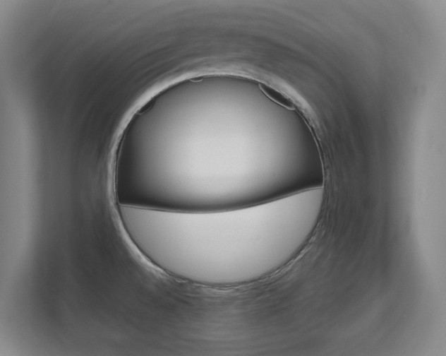 X0000111811528200907231005