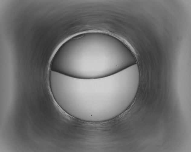 X0000111811532200907231005