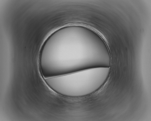 X0000111811533200907231005