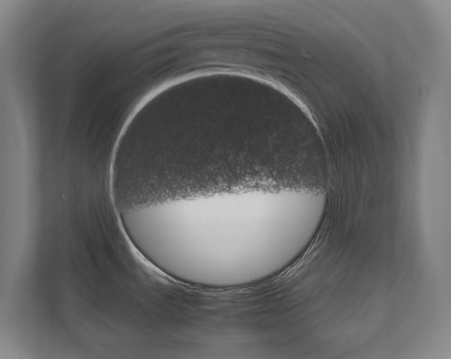 X0000111811535200907231005