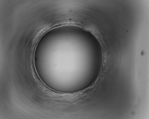 X0000111810001200907231246