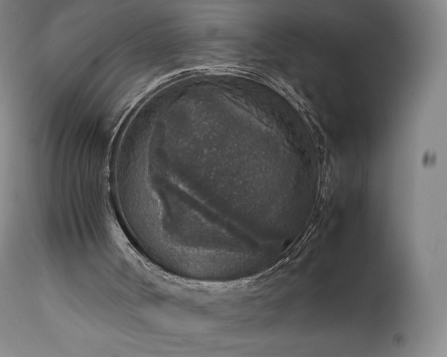 X0000111810002200907231246