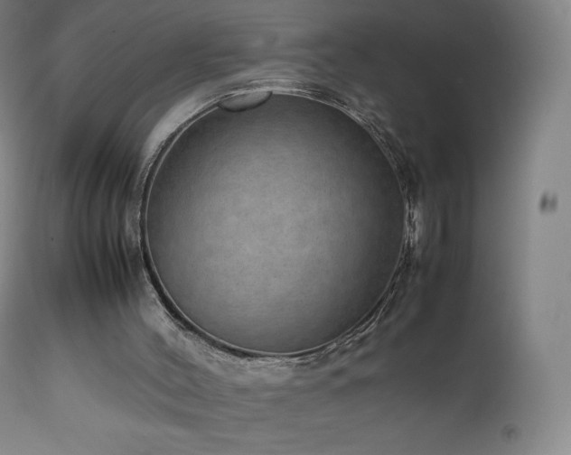 X0000111810004200907231246