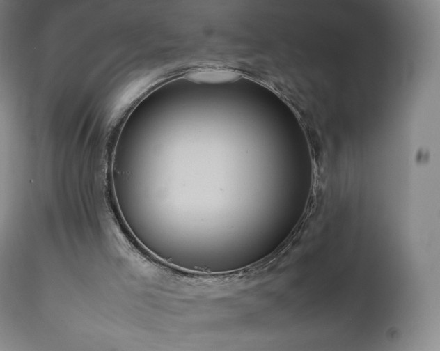 X0000111810005200907231246