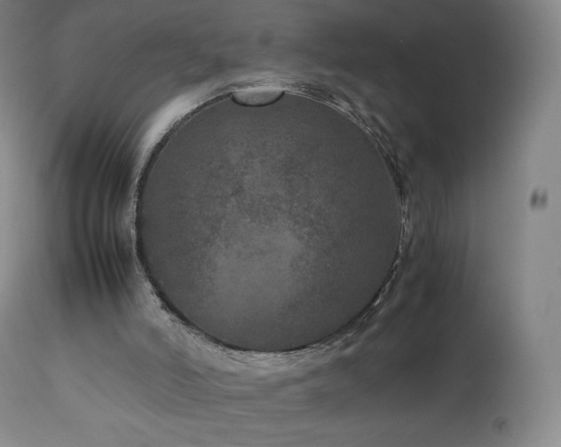 X0000111810006200907231246