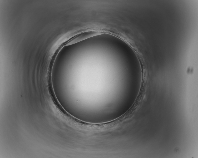 X0000111810007200907231246