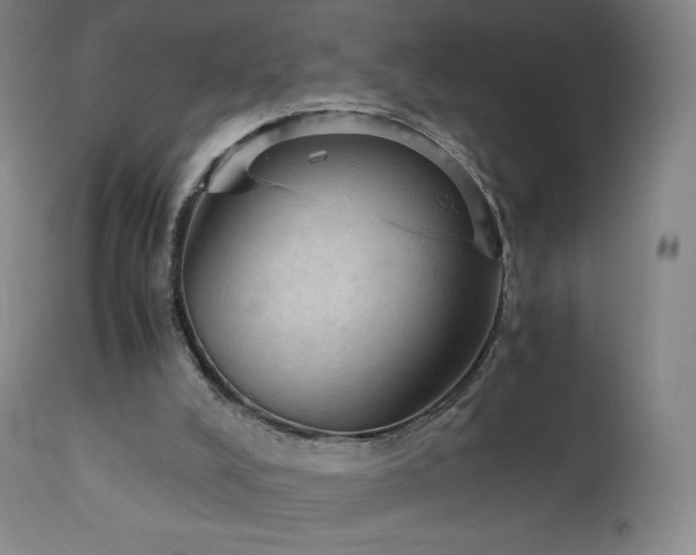 X0000111810008200907231246
