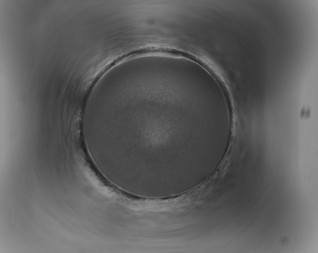 X0000111810009200907231246