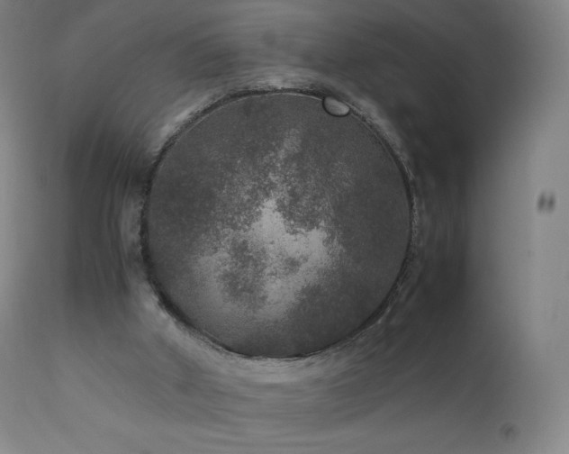 X0000111810010200907231246