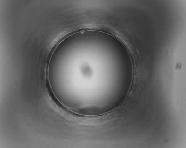 X0000111810011200907231246