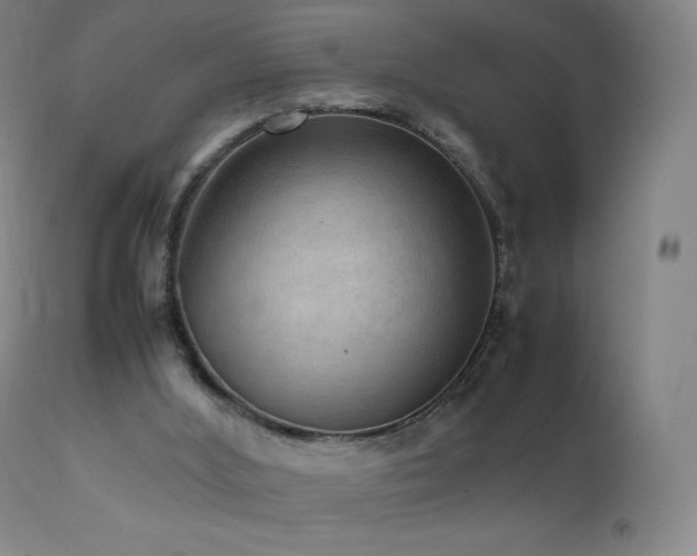 X0000111810012200907231246