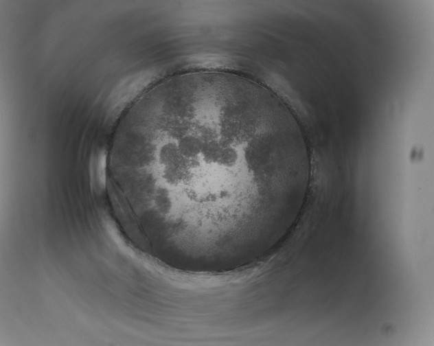 X0000111810014200907231246