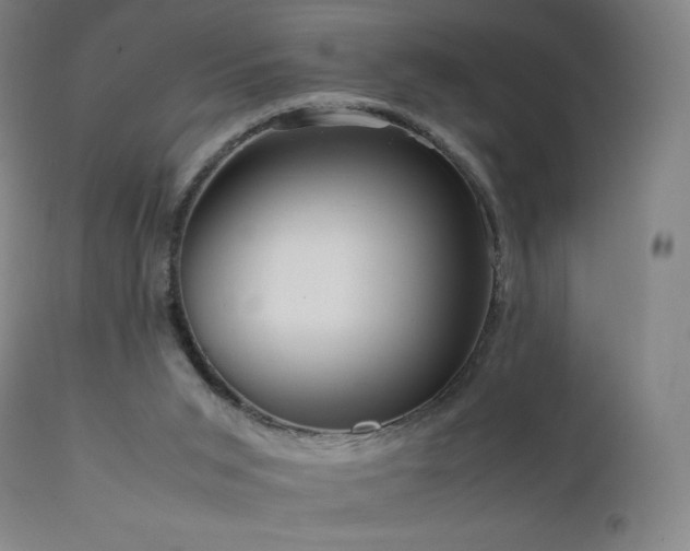 X0000111810015200907231246