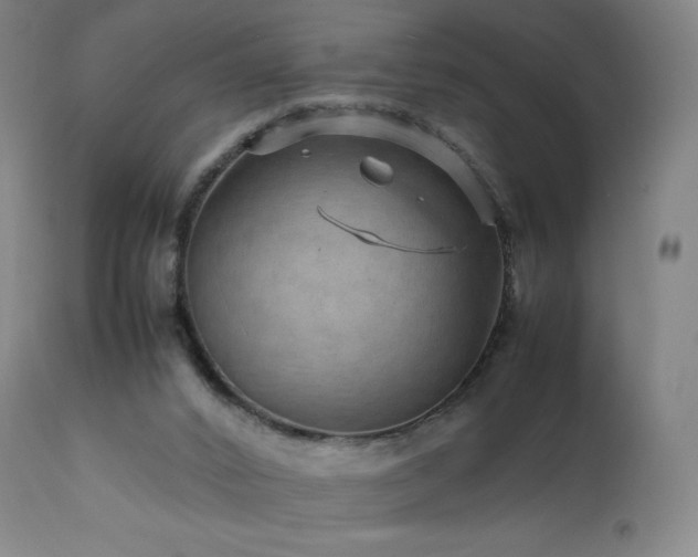 X0000111810016200907231246