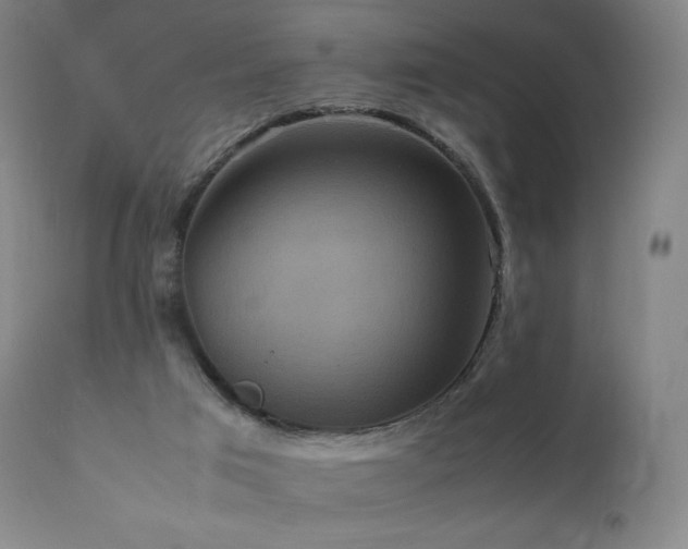 X0000111810017200907231245