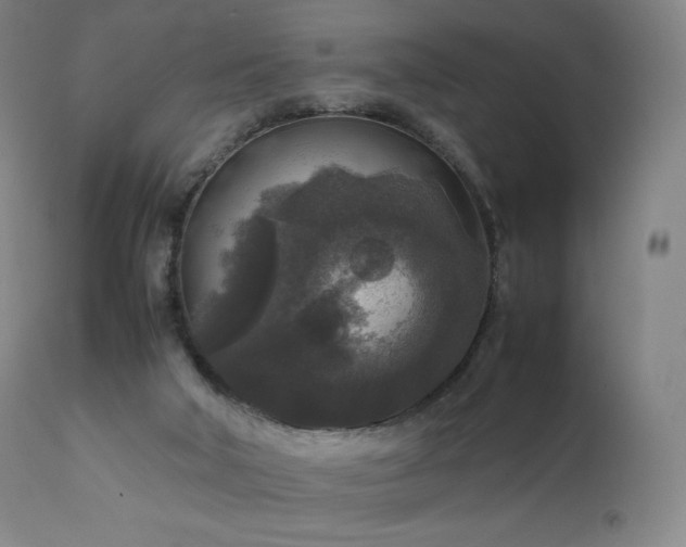 X0000111810018200907231245