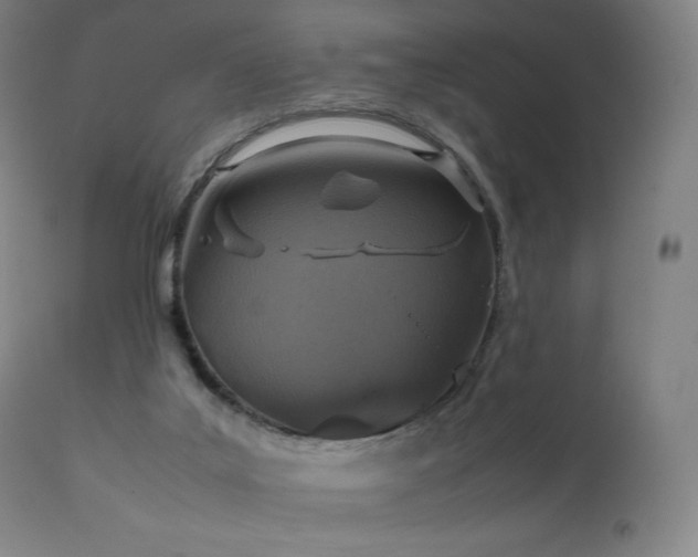 X0000111810019200907231245