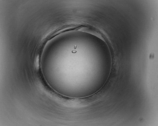 X0000111810020200907231245