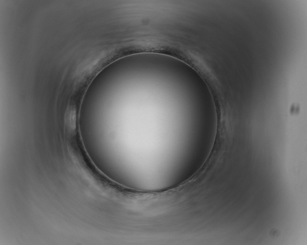X0000111810021200907231245