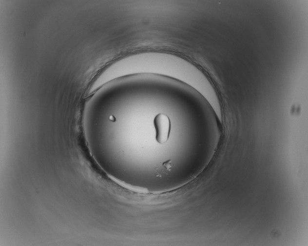 X0000111810023200907231245