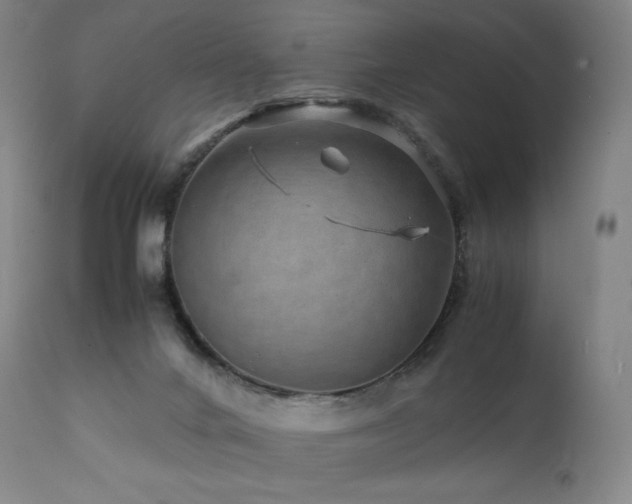 X0000111810024200907231245