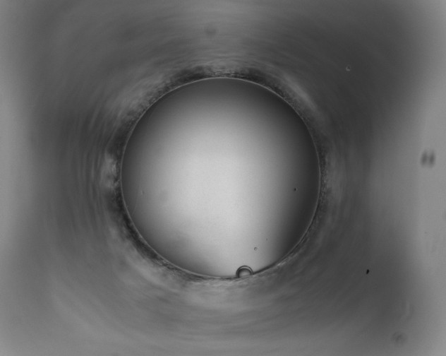 X0000111810025200907231245