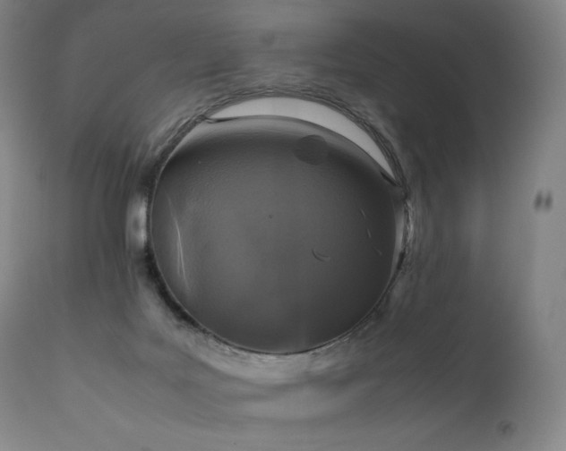X0000111810027200907231245