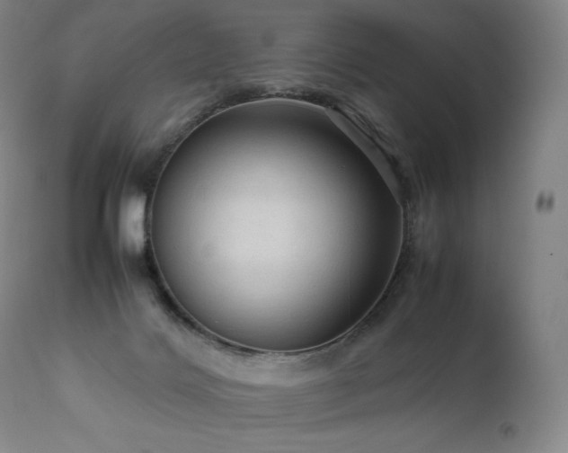 X0000111810028200907231245