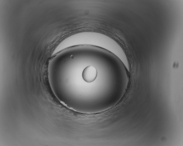 X0000111810029200907231245
