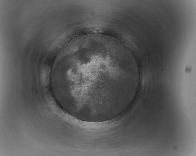 X0000111810030200907231245