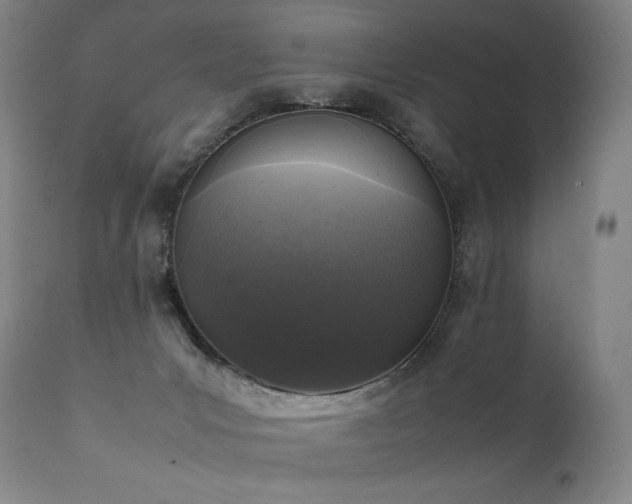 X0000111810031200907231245