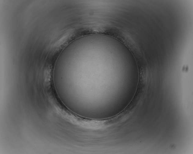 X0000111810032200907231245