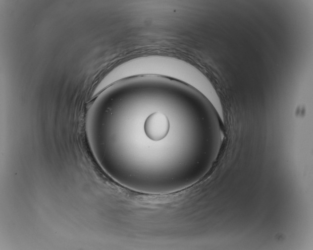X0000111810033200907231245