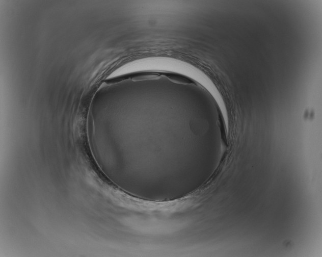X0000111810035200907231245