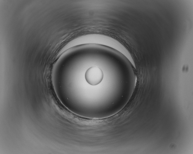 X0000111810036200907231245