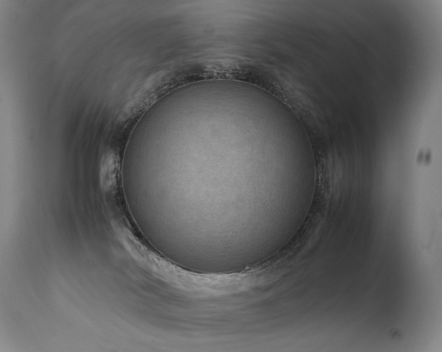 X0000111810038200907231245