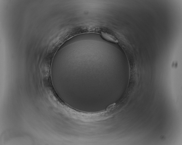 X0000111810039200907231245