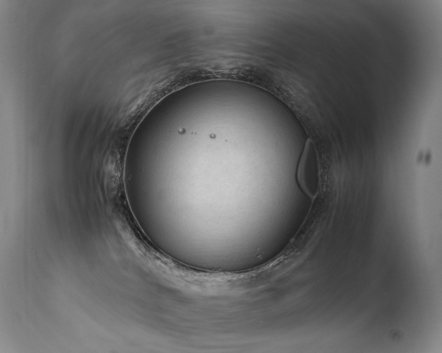 X0000111810040200907231245