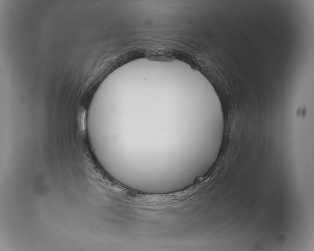 X0000111810041200907231245
